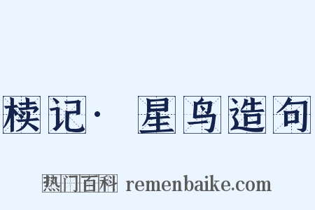 椟记·星鸟造句是什么意思的图片